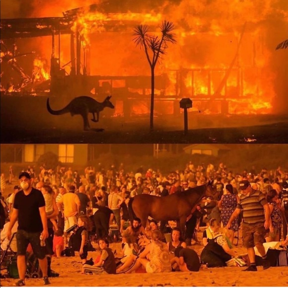 DONATING to Australia Fire - Picture 6 of 7